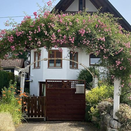 Ferienwohnung Dalea Bad Waldsee Exterior foto
